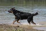 BEAUCERON 674